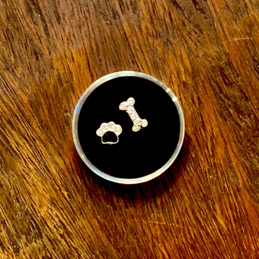Origami Owl Charms! ✨